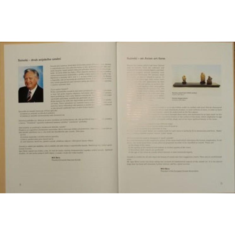 Suiseki, Gongshi, Suseok - Igor Bárta