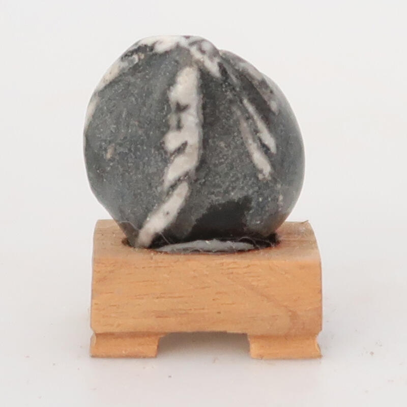 Suiseki - Pietra con DAI (base in legno)