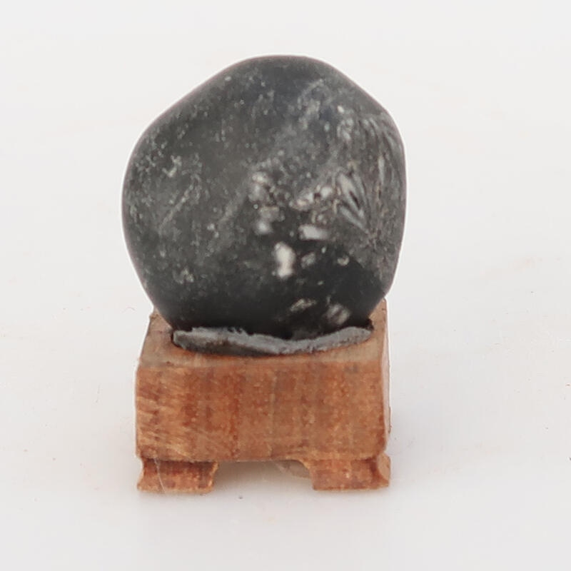 Suiseki - Pietra con DAI (base in legno)