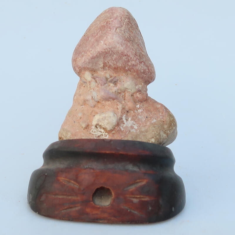 Suiseki - Pietra con DAI (base in legno)