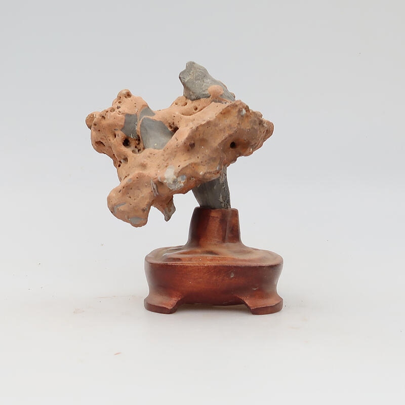 Suiseki - Pietra con DAI (base in legno)