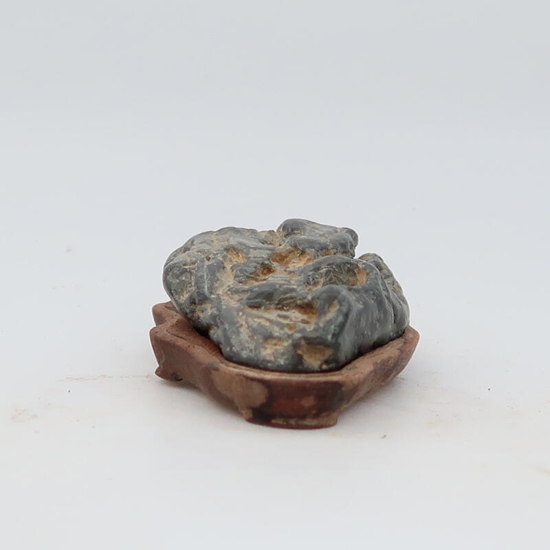 Suiseki - Pietra con DAI (base in legno)