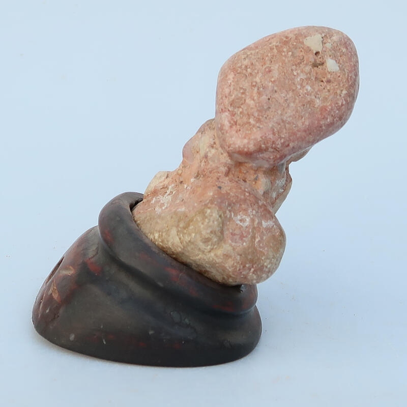 Suiseki - Pietra con DAI (base in legno)