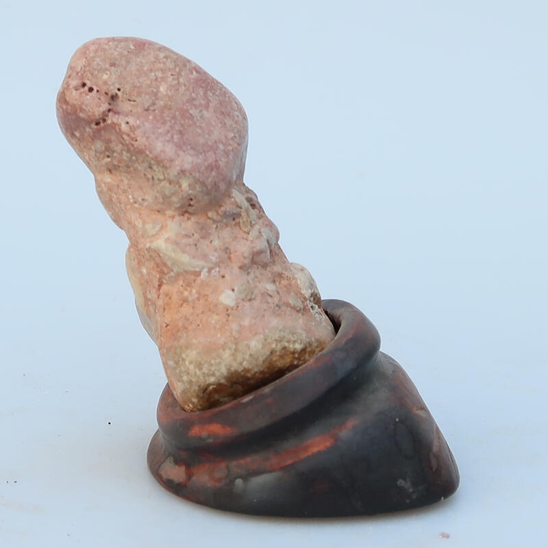 Suiseki - Pietra con DAI (base in legno)