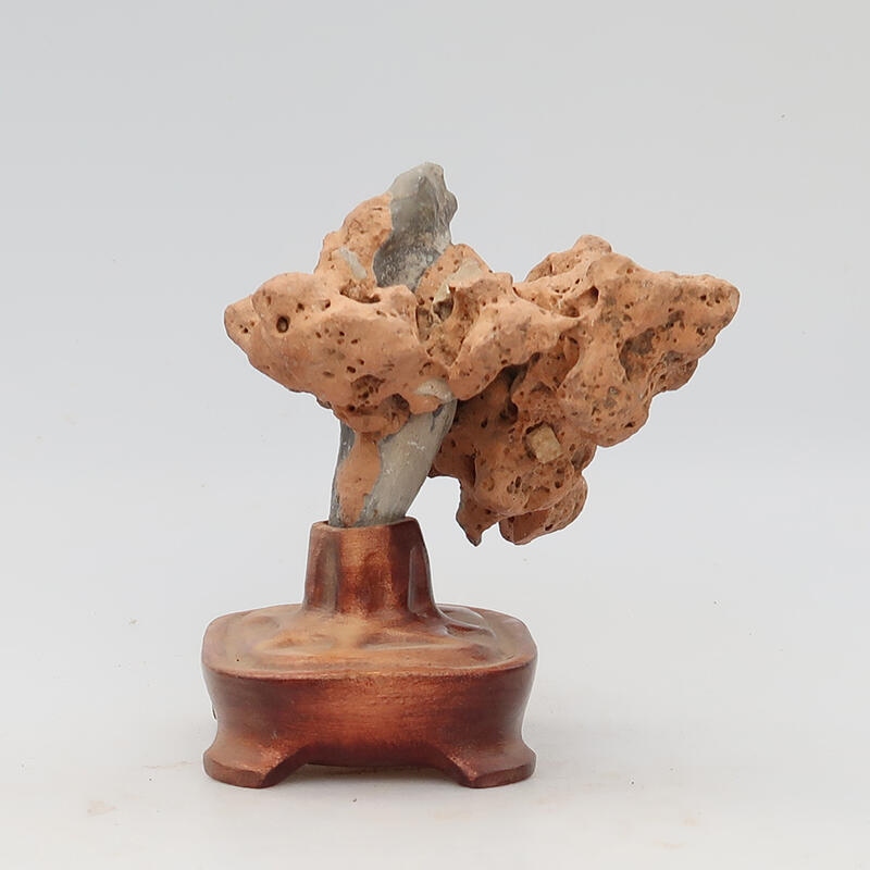 Suiseki - Pietra con DAI (base in legno)