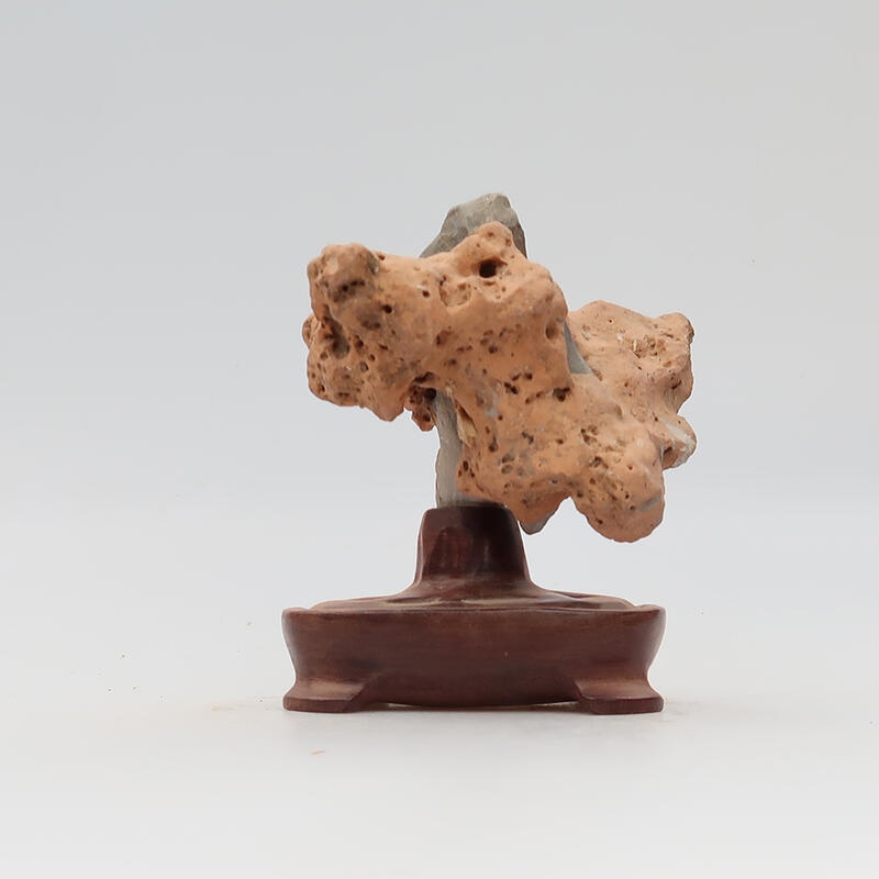 Suiseki - Pietra con DAI (base in legno)