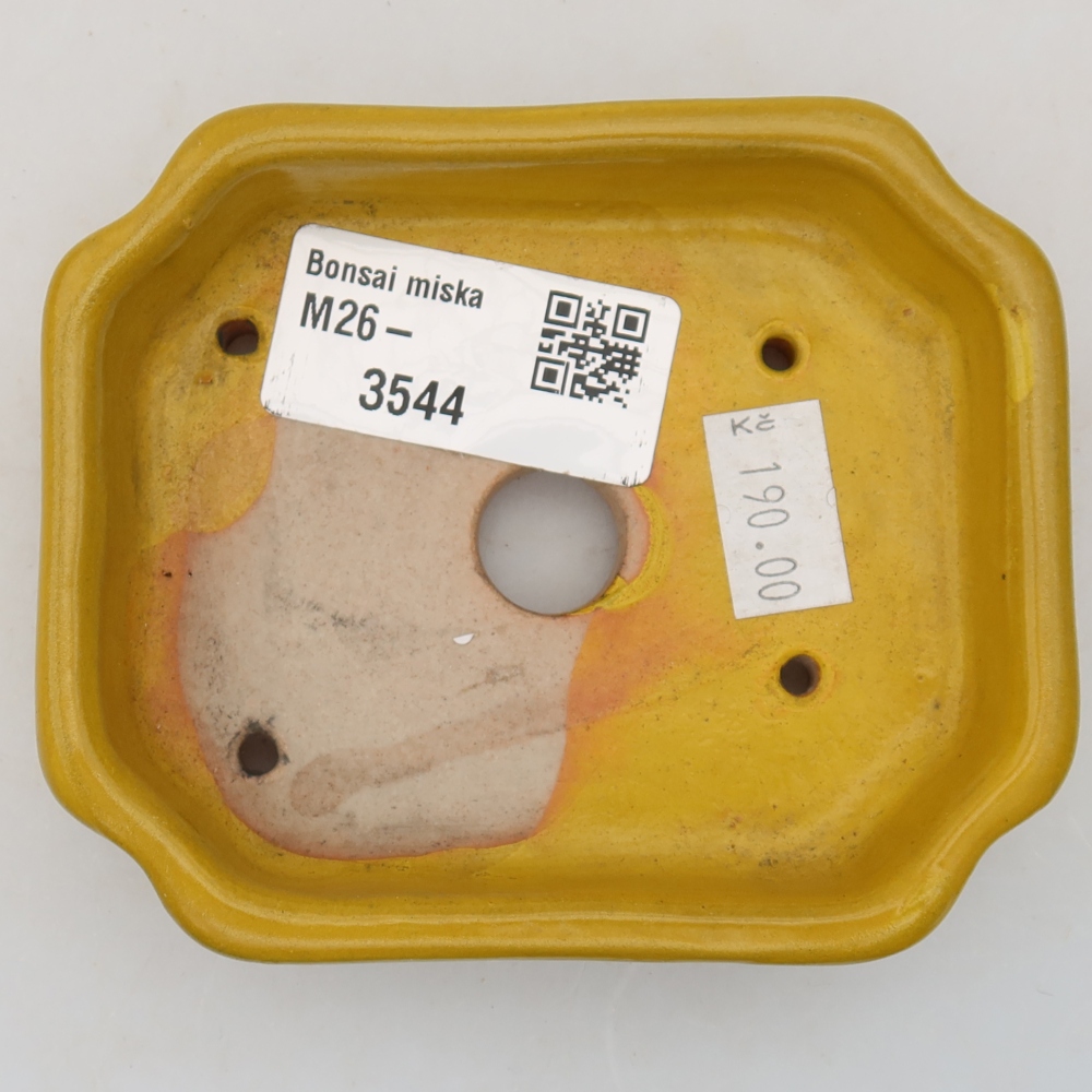Vaso da bonsai in ceramica 10 x 8 x 2,5 cm, colore giallo