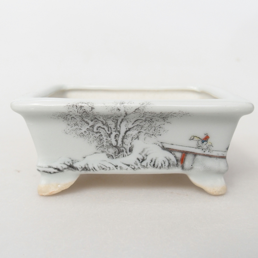 Mini bonsai 8 x 6 x 3 cm, bianco