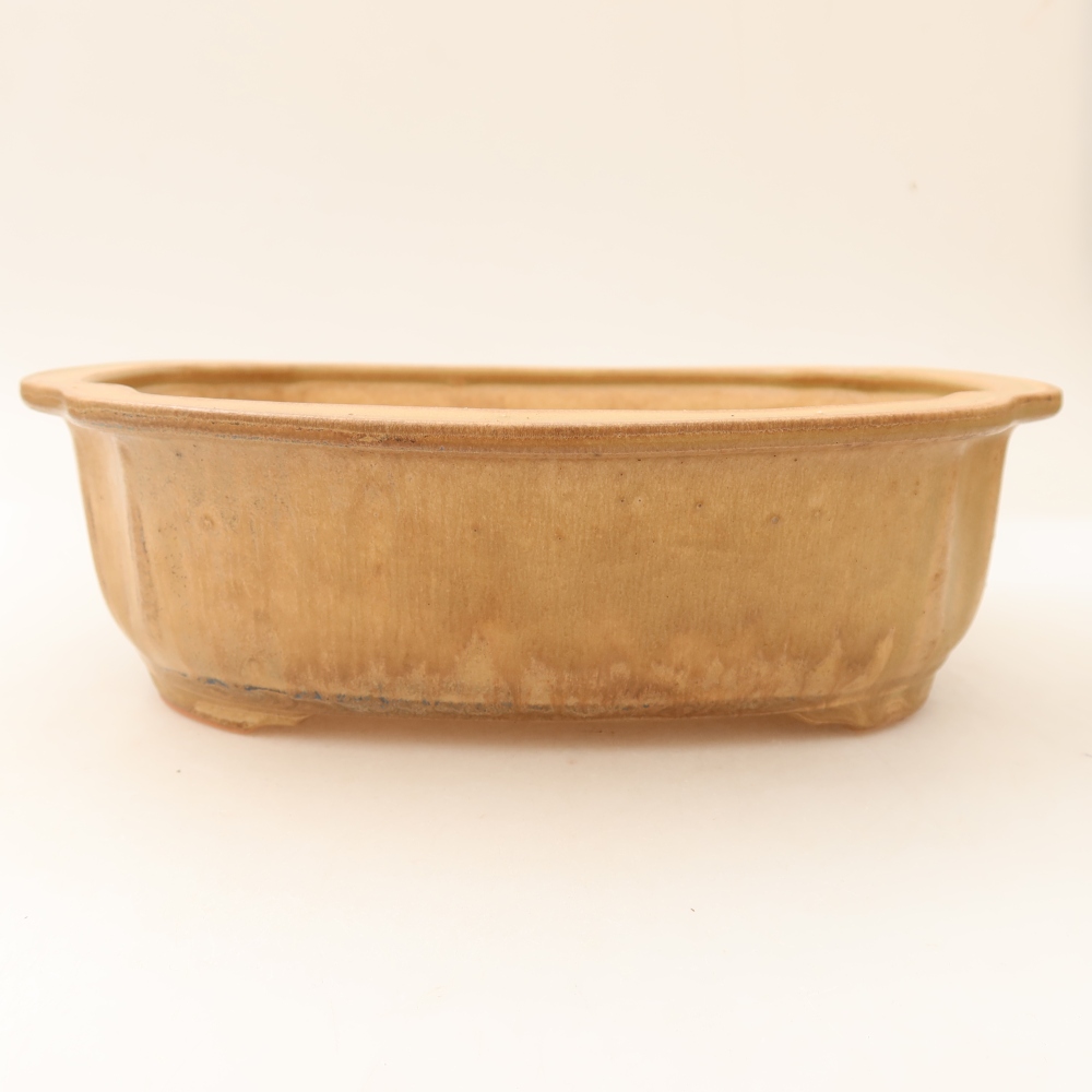Vaso da bonsai in ceramica 24,5 x 21 x 7,5 cm, colore beige