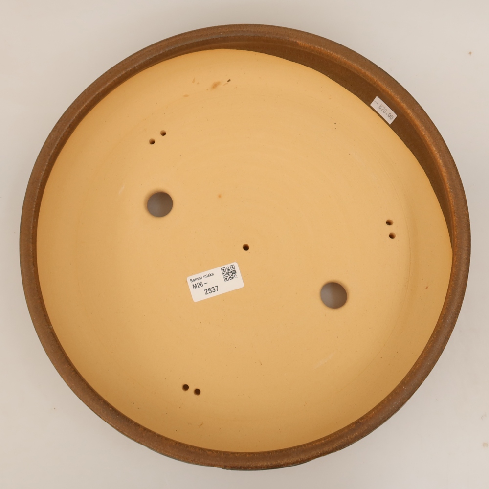 Vaso da bonsai in ceramica 31 x 31 x 7,5 cm, colore marrone