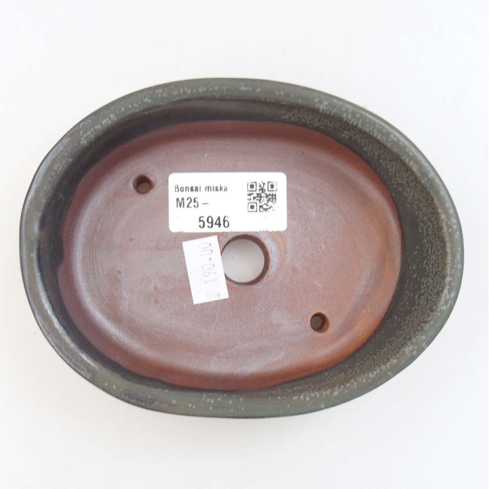 Ciotola bonsai in ceramica 22 x 17 x 5 cm, verde