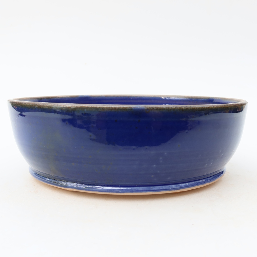 Ciotola bonsai in ceramica 18 x 18 x 6 cm, colore blu
