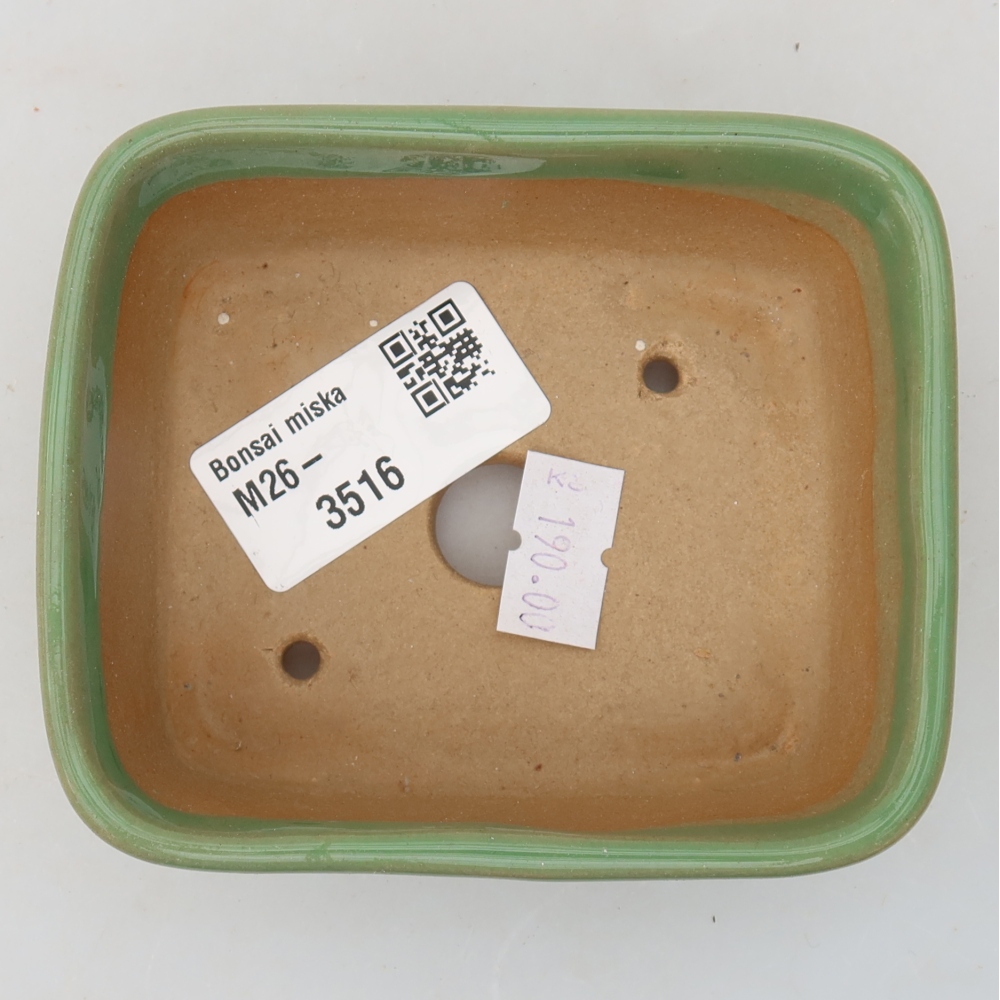 Vaso da bonsai in ceramica 10 x 8 x 3,5 cm, colore verde