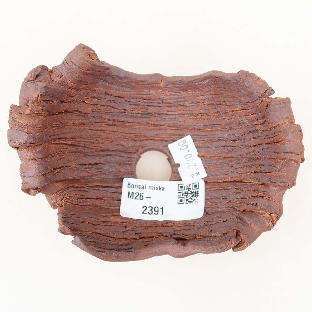 Guscio in ceramica  11,5 x 8,5 x 6,5 cm, colore marrone