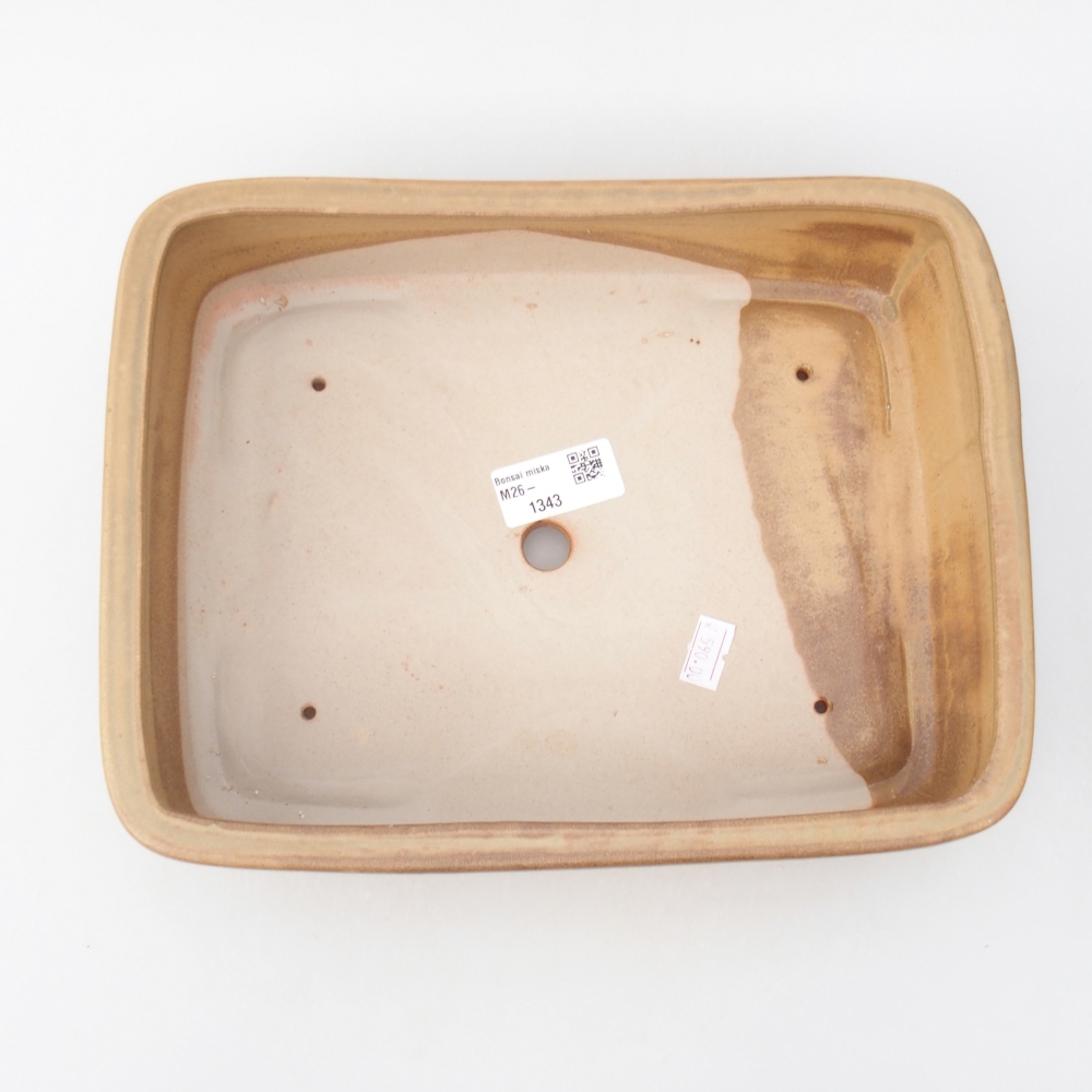 Ciotola per bonsai in ceramica 26,5 x 20,5 x 6,5 cm, colore beige