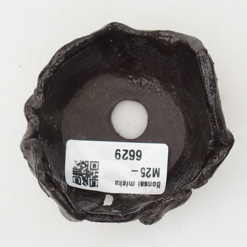 Conchiglia in ceramica 7 x 7 x 5 cm , colore nero