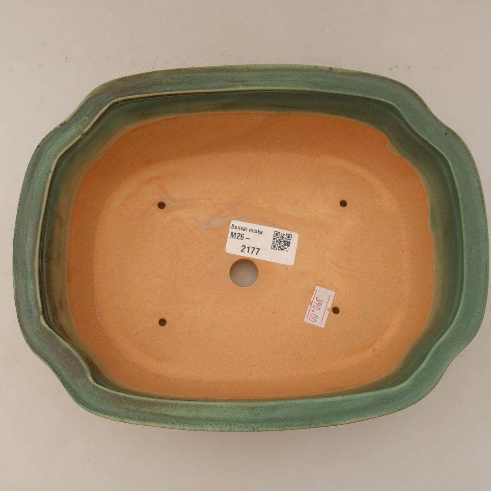 Ciotola bonsai in ceramica 22,5 x 17,5 x 7,5 cm, verde
