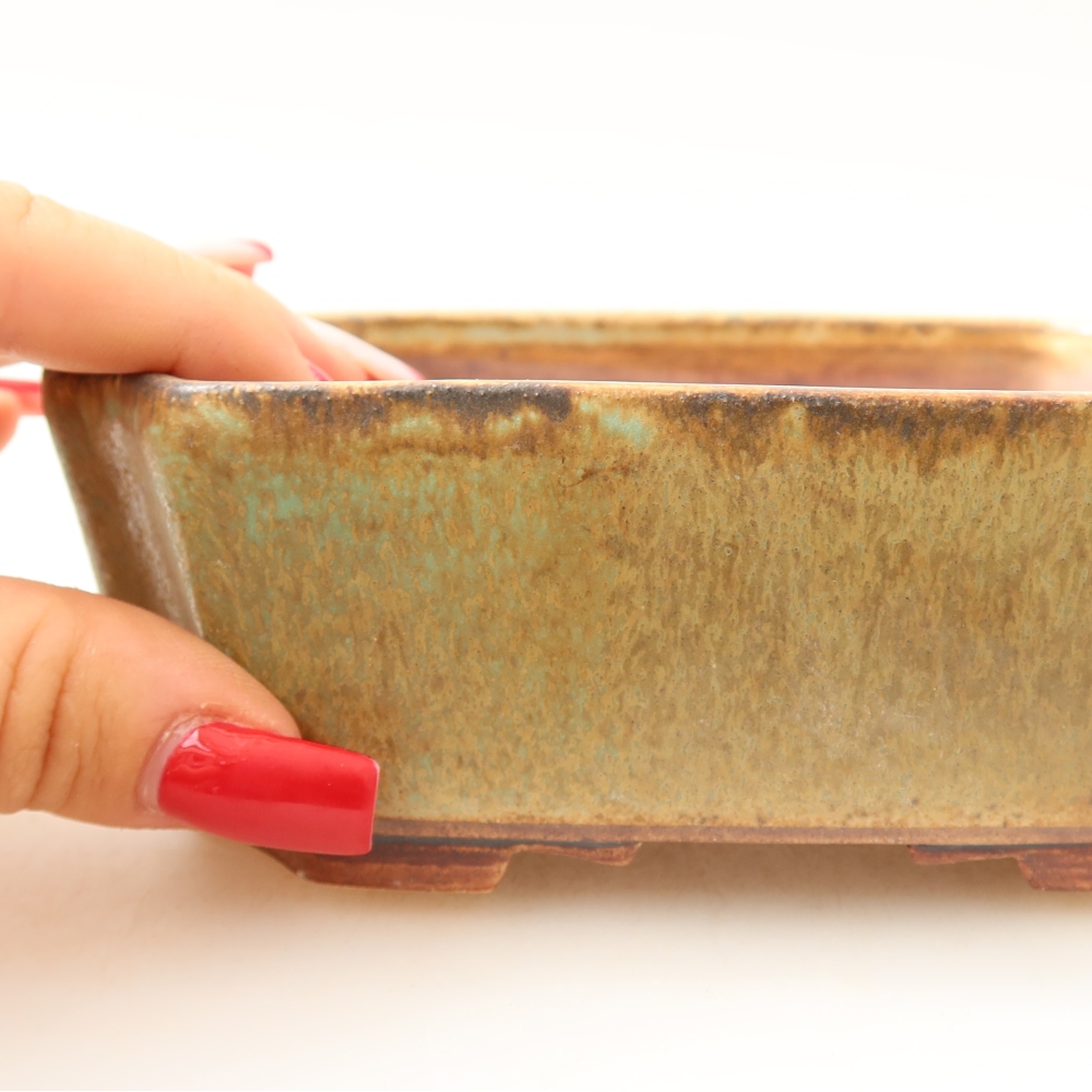 Vaso in ceramica per bonsai 14 x 11,5 x 4,5 cm, colore verde