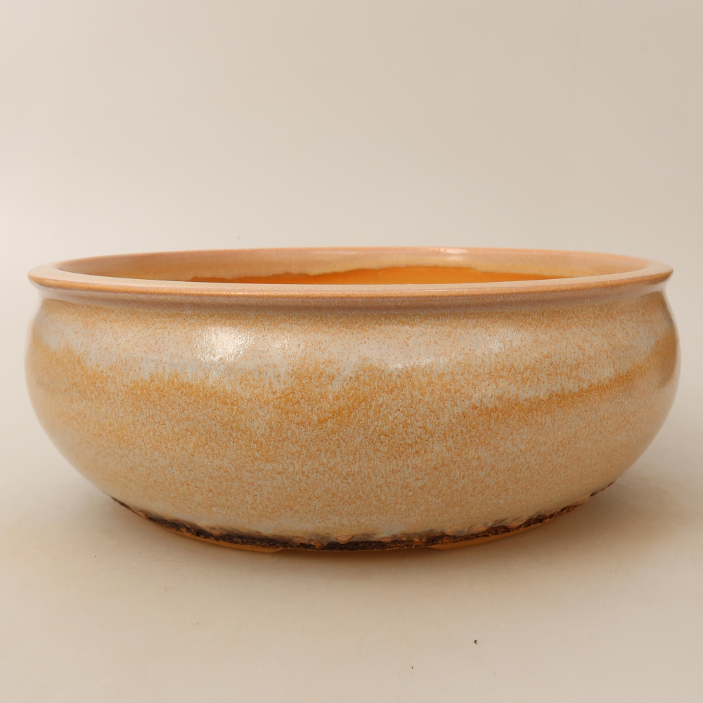 Vaso per bonsai in ceramica 24 x 24 x 9 cm, colore beige
