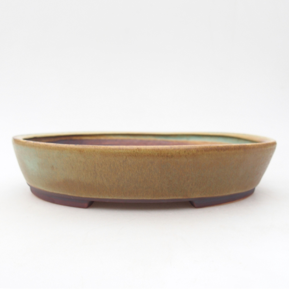 Ciotola bonsai in ceramica 22,5 x 20 x 4,5 cm, verde