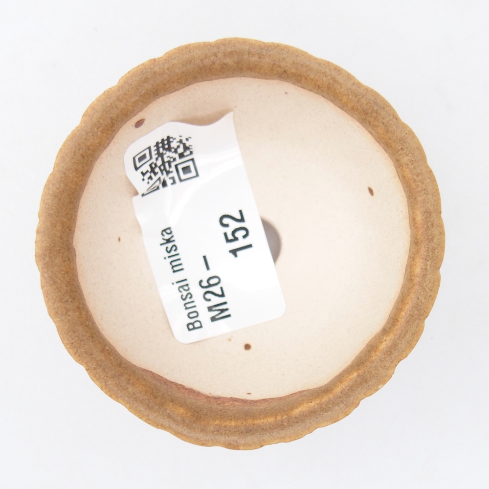 Ciotola per mini bonsai 5,5 x 5,5 x 3 cm, marrone