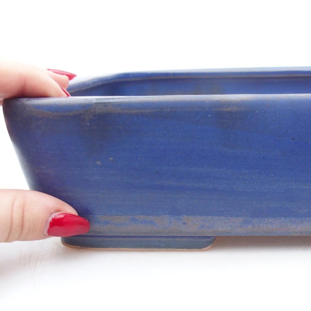 Ciotola bonsai in ceramica 26,5 x 20 x 6,5 cm, colore blu