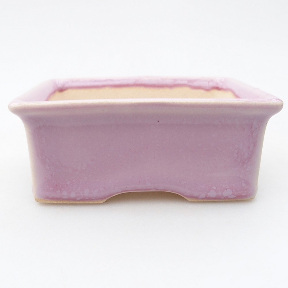 Mini bonsai 9 x 7 x 3,5 cm, rosa