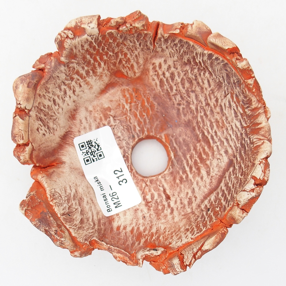 Conchiglia in ceramica 11 x 11 x 5 cm , colore arancione