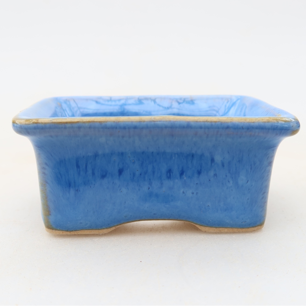Ciotola per bonsai in ceramica 6 x 4,5 x 2,5 cm, colore blu