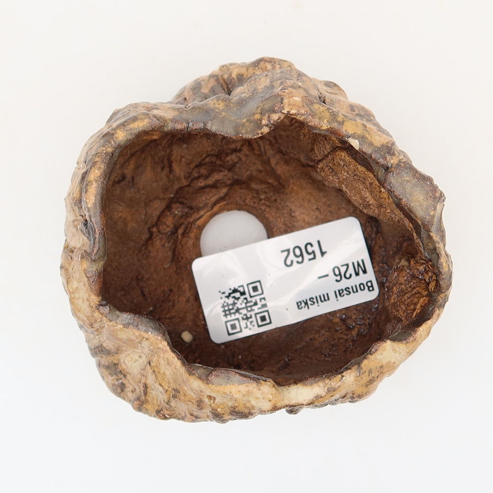 Guscio in ceramica  6,5 x 5 x 6 cm , colore marrone