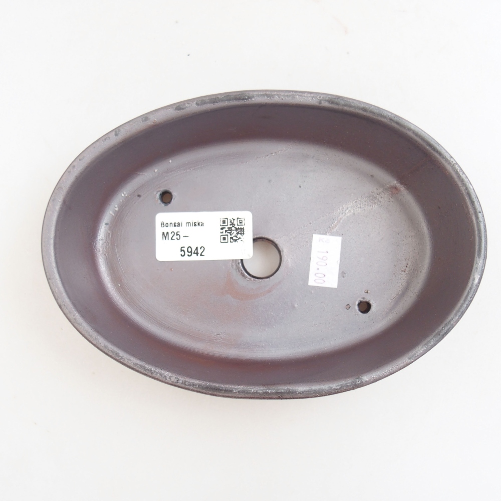 Ciotola bonsai in ceramica 22 x 17 x 5 cm, verde