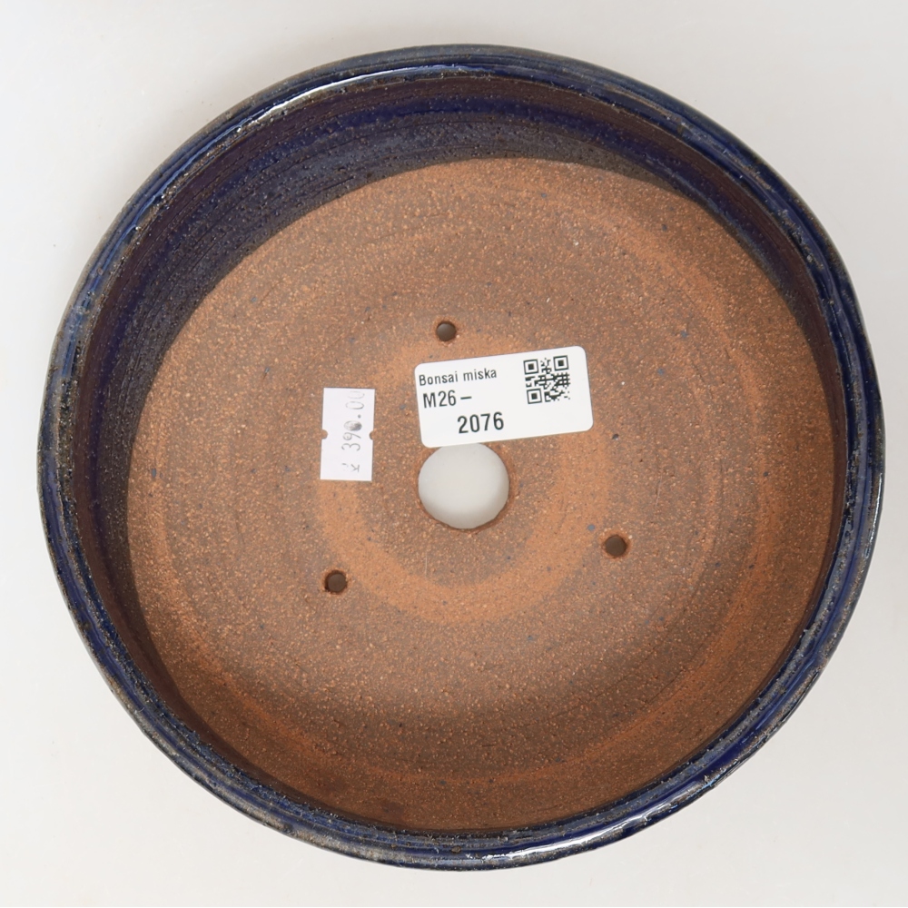 Ciotola bonsai in ceramica 17 x 17 x 6 cm, colore blu