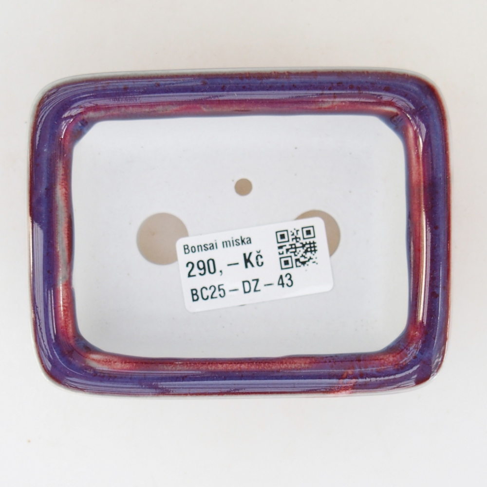 Mini bonsai 10 x 8 x 3,5 cm, colore viola