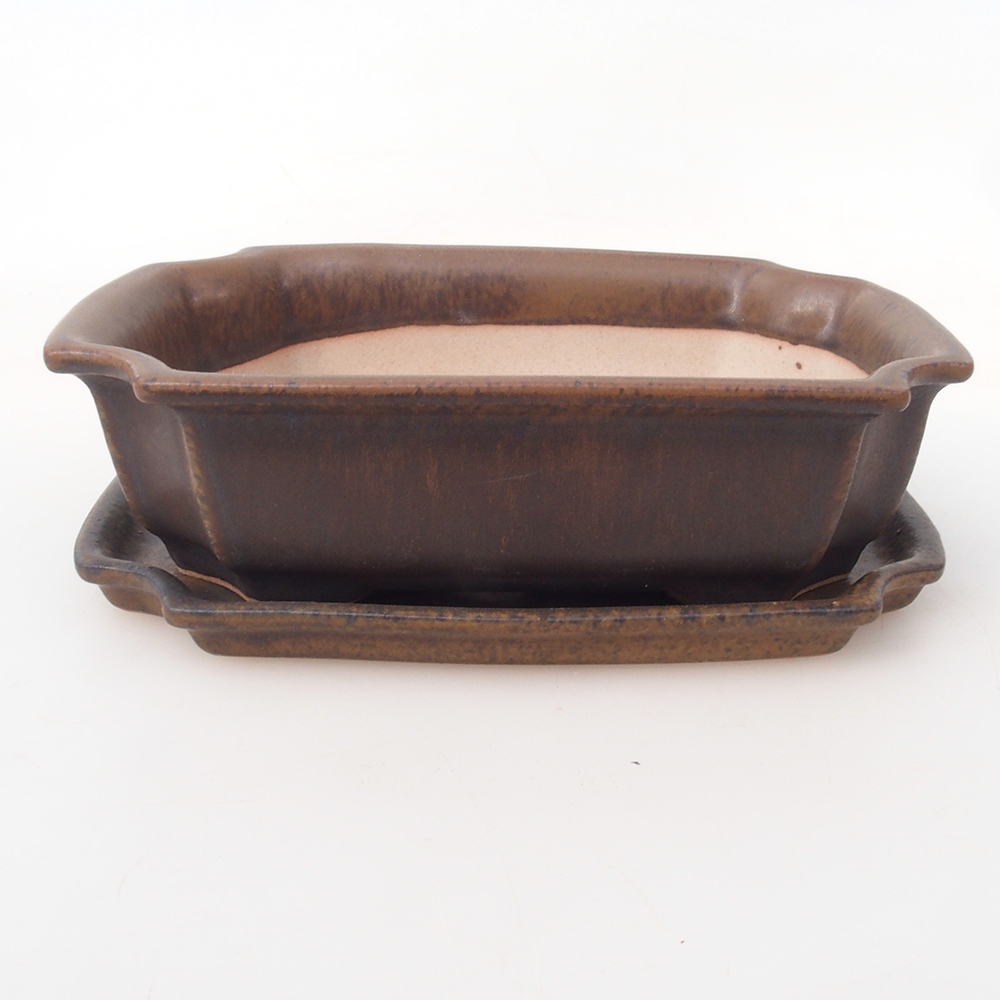 Ciotola bonsai + piattino H17 - 15 x 10 x 4 cm - marrone
