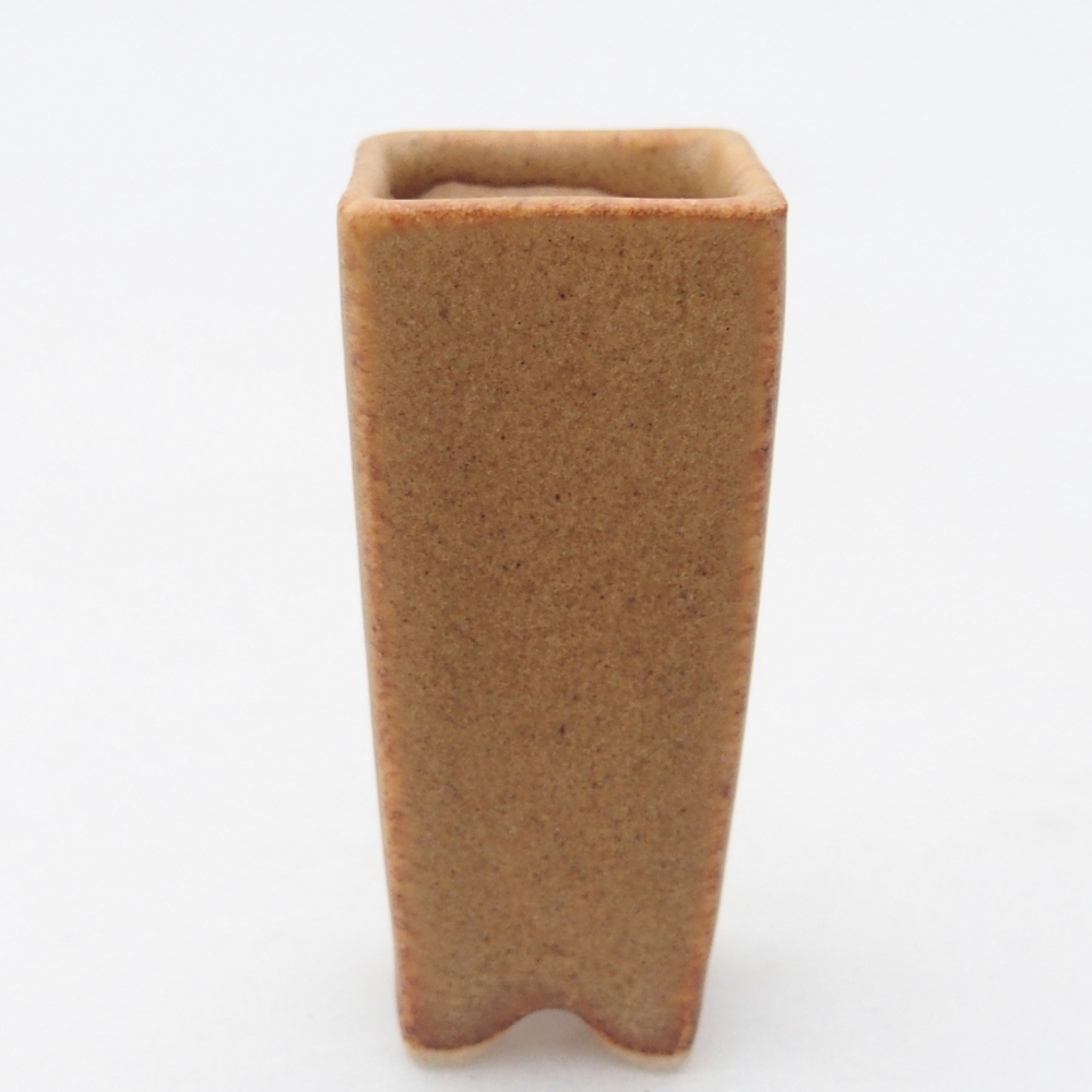 Mini bonsai 2 x 2 x 5 cm, marrone