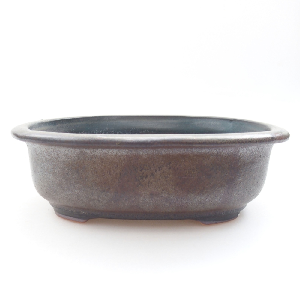 Ciotola bonsai in ceramica 22 x 17 x 5 cm, verde