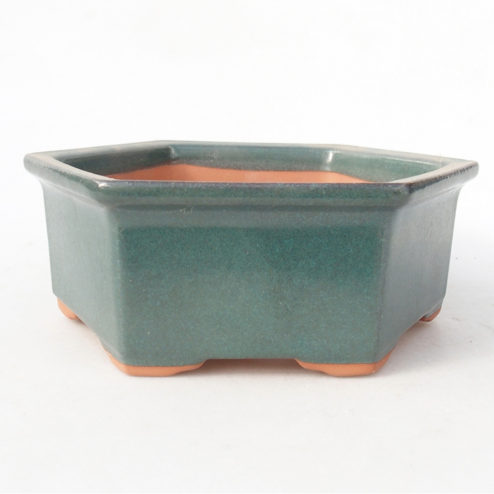 Ciotola 17 x 15 x 6 cm verde