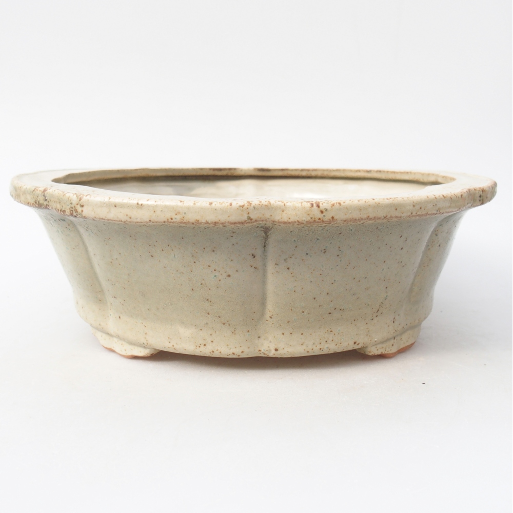 Ciotola bonsai in ceramica 26 x 26 x 8,5 cm, colore beige