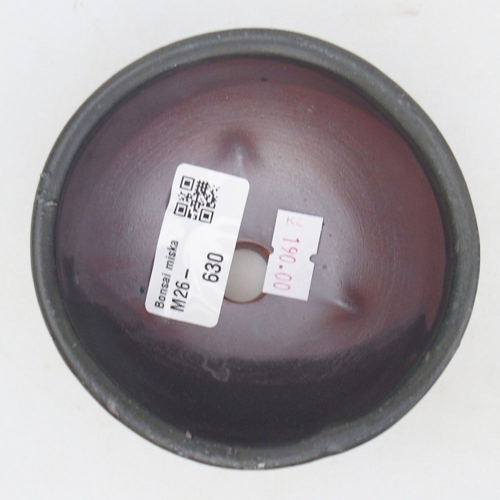 Ciotola per bonsai in ceramica 125 x 10 x 3 cm, marrone