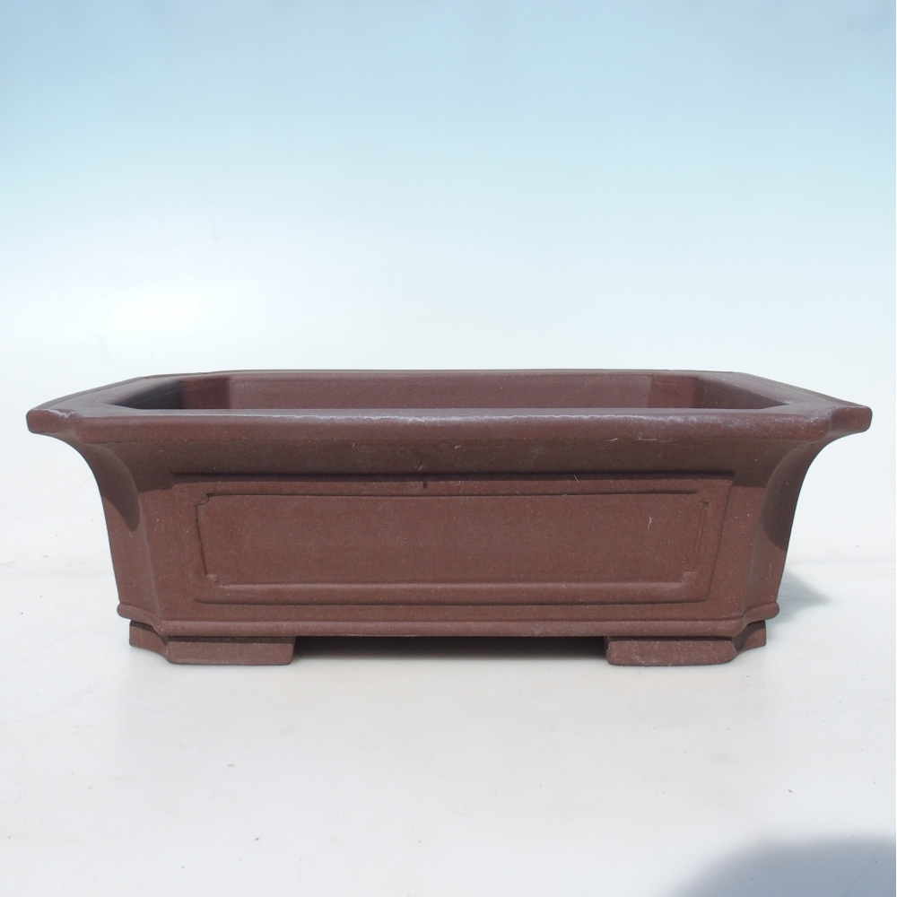 Ciotola per bonsai 35,5 x 36,5 x 11 cm betulla marrone