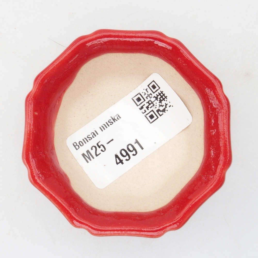 Mini bonsai 6 x 6 x 2 cm, colore rosso