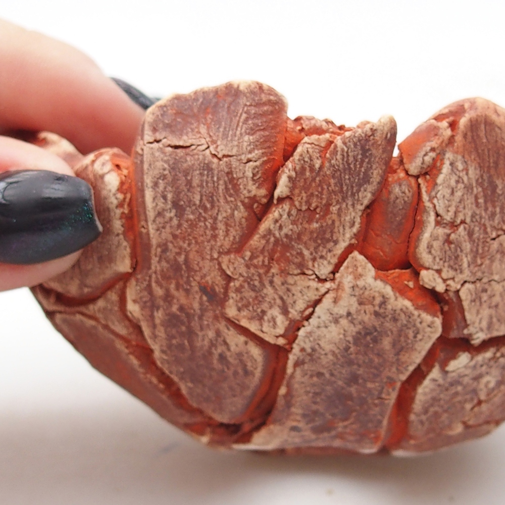 Conchiglia in ceramica 9 x 9 x 5 cm , colore arancione