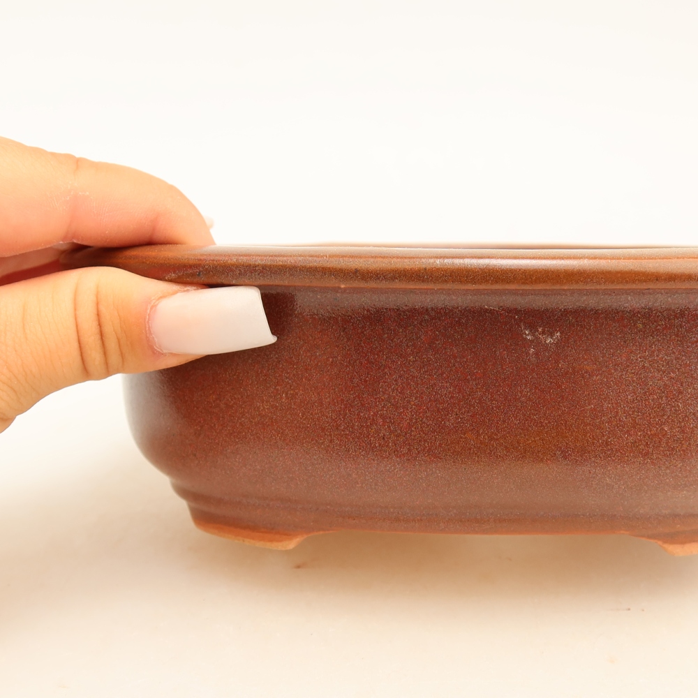 Vaso da bonsai in ceramica 18 x 14,5 x 5,5 cm, colore bordeaux