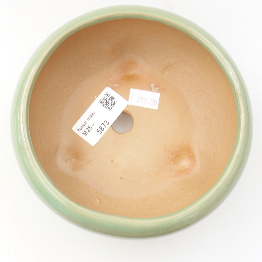 Ciotola bonsai in ceramica 22 x 17 x 5 cm, verde