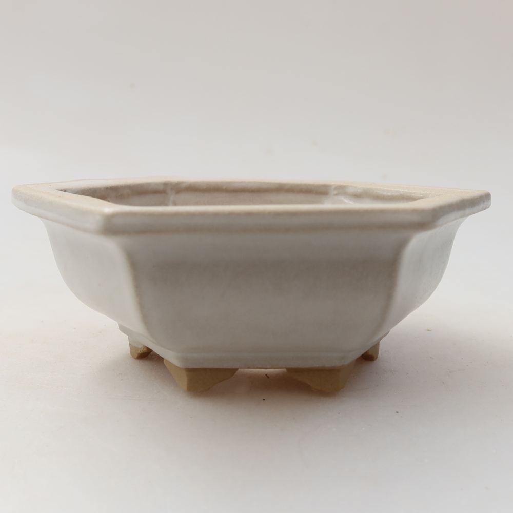 Vaso da bonsai in ceramica 12 x 10,5 x 4,5 cm, colore bianco