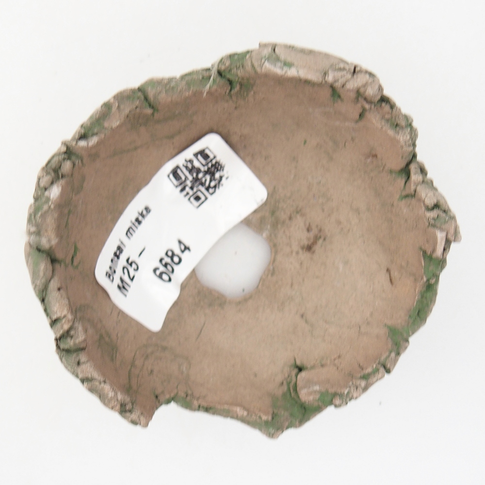 Conchiglia in ceramica 7 x 7 x 4 cm , colore verde
