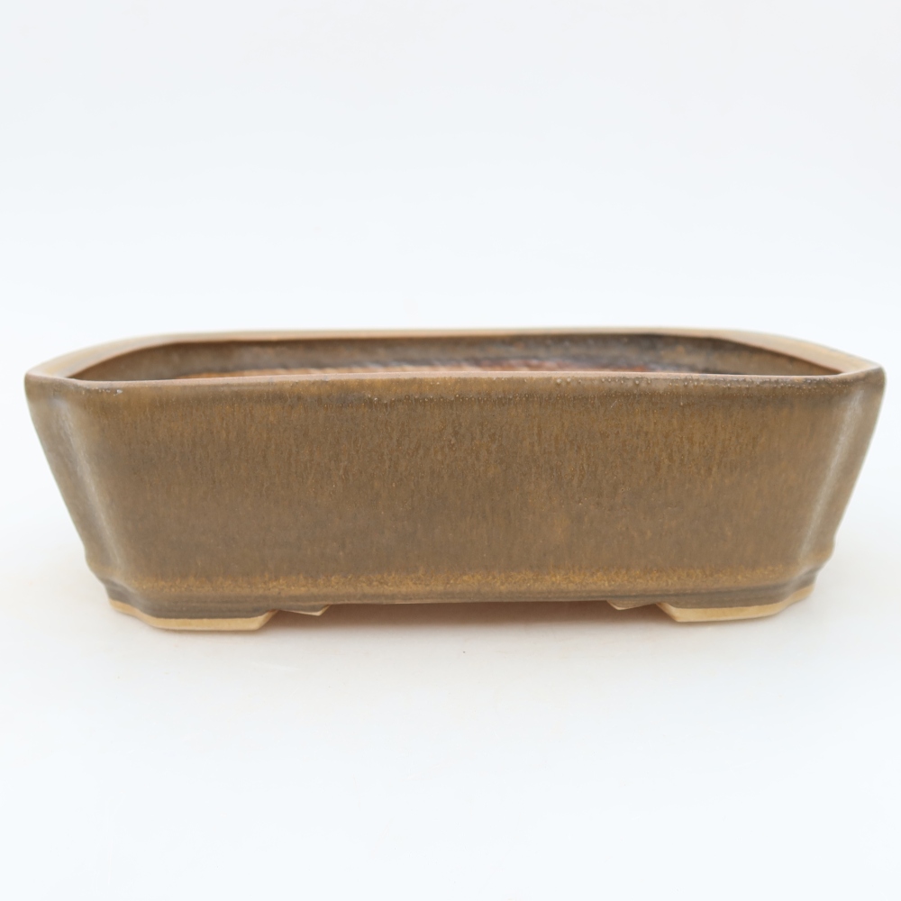 Vaso da bonsai in ceramica 21,5 x 18 x 6 cm, colore marrone