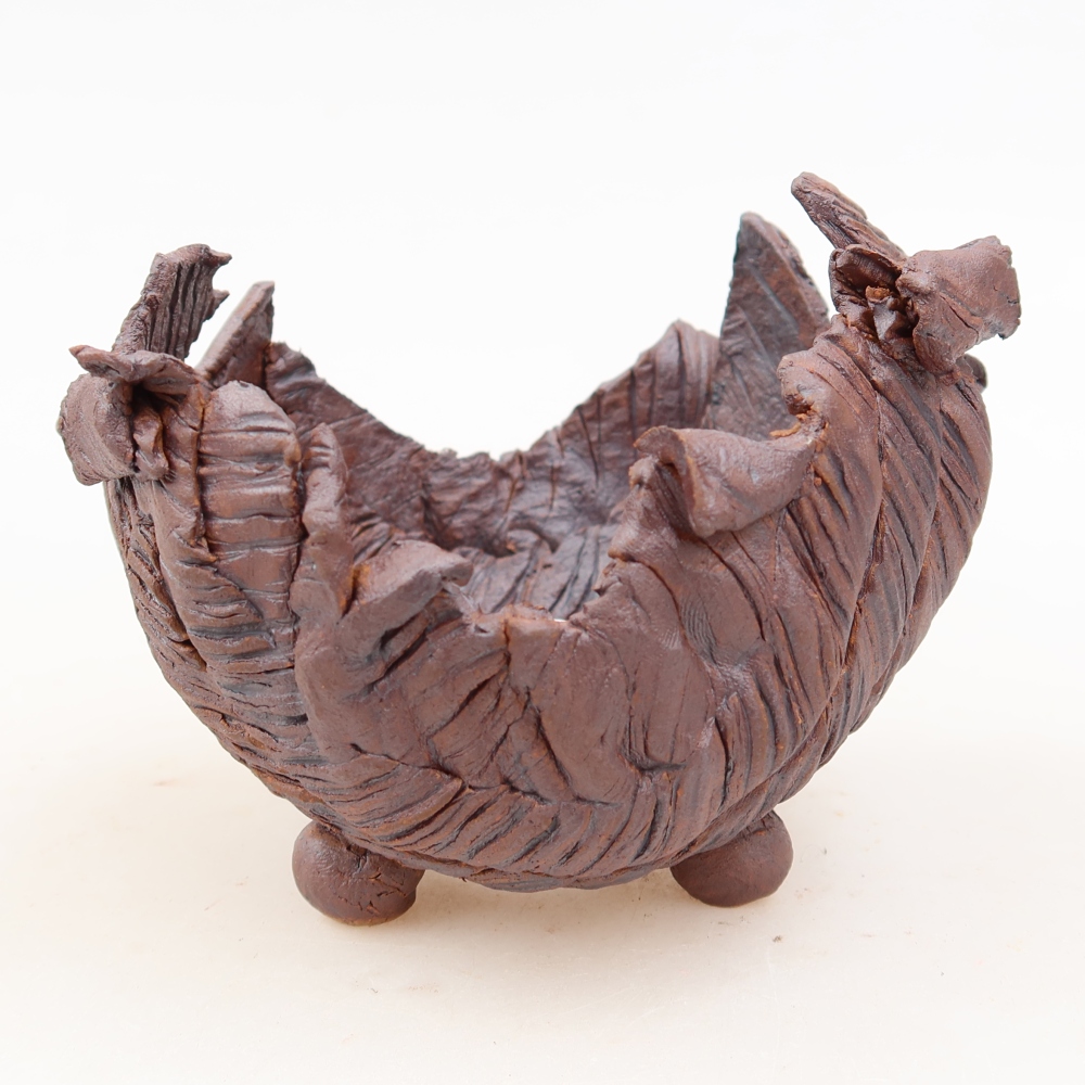 Guscio in ceramica  10,5 x 9,5 x 9 cm, colore marrone