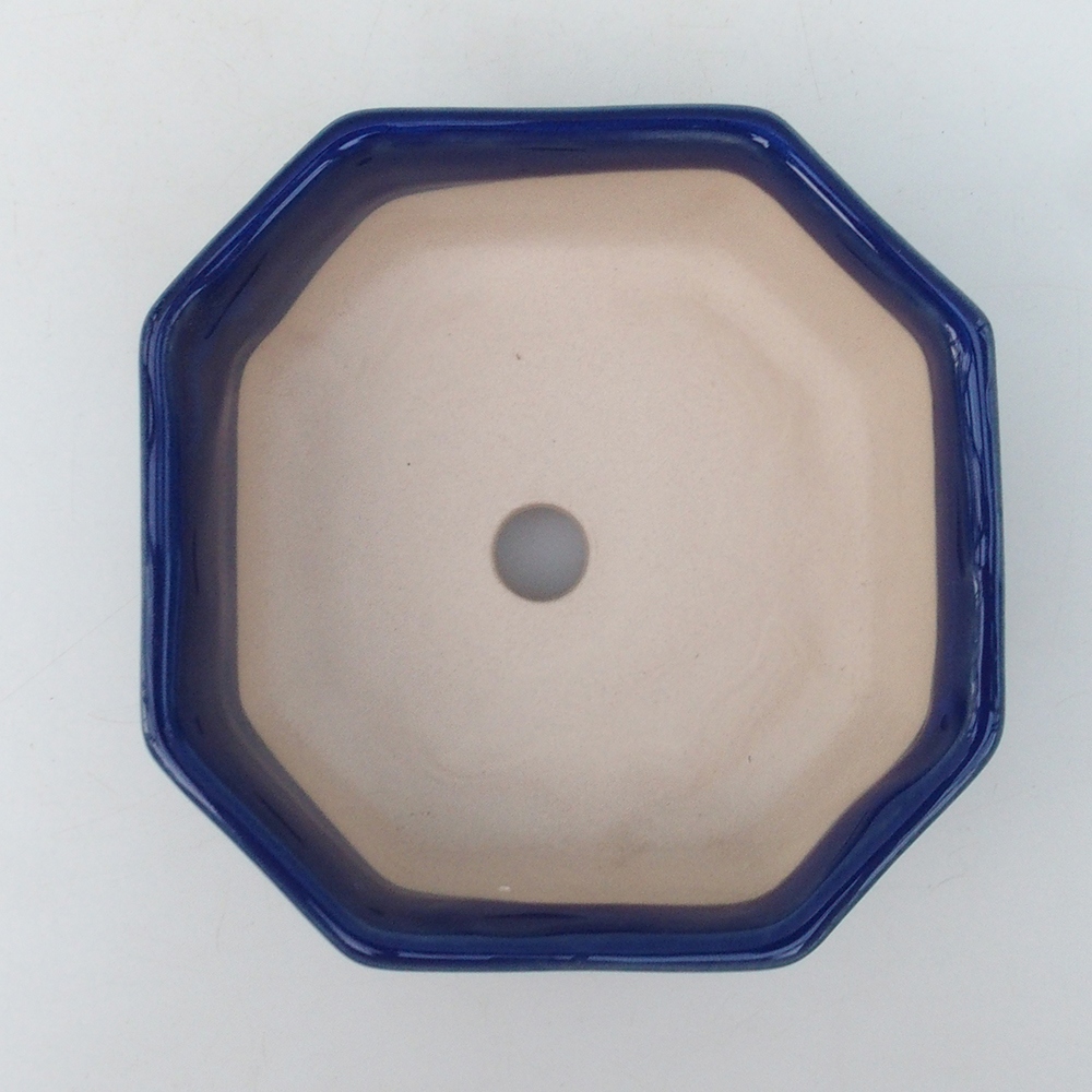 Ciotola per bonsai H13 - 12,5 x 12,5 x 4,5 cm - blu