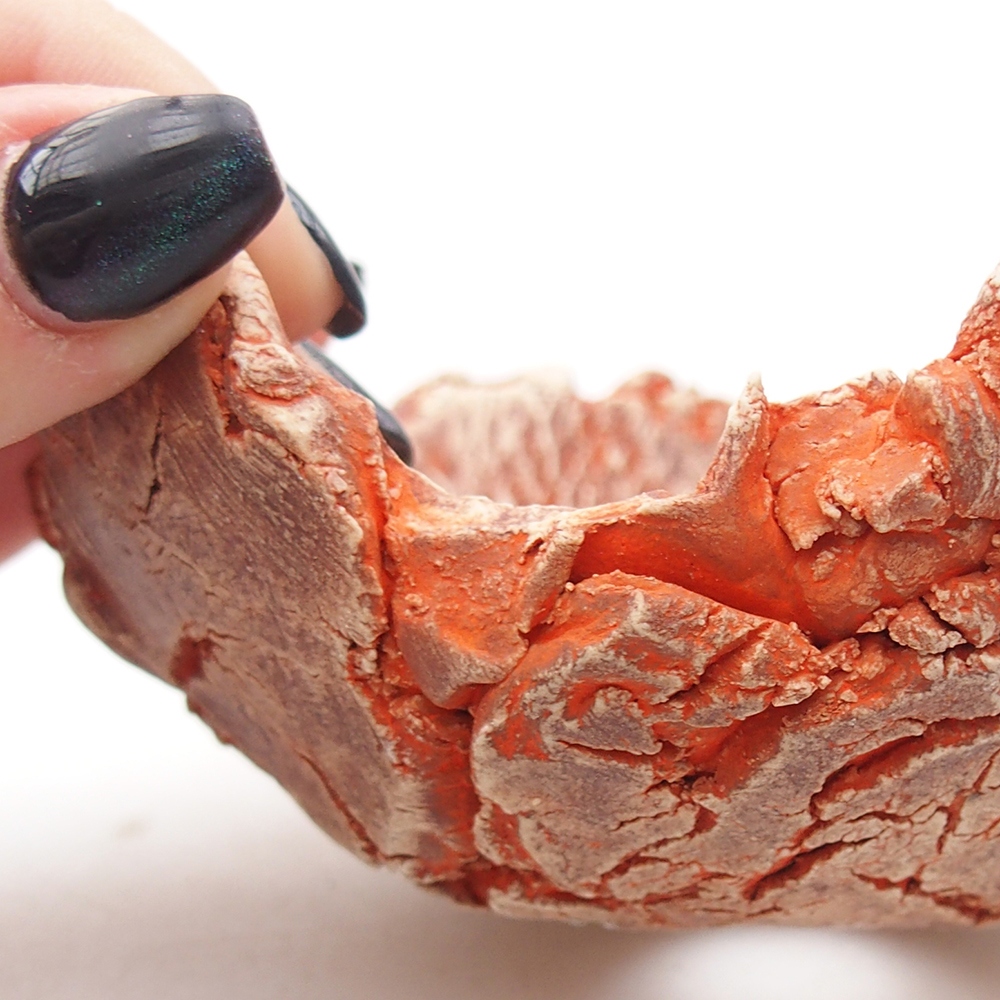 Conchiglia in ceramica 11 x 11 x 5 cm , colore arancione